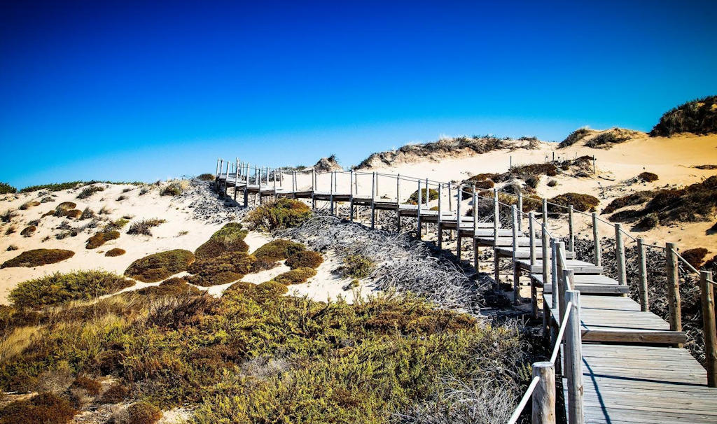 Experience the ecological wonders of Cresmina Dune near Cascais, where nature thrives amidst shifting sands, and conservation efforts ensure its preservation for generations to come.