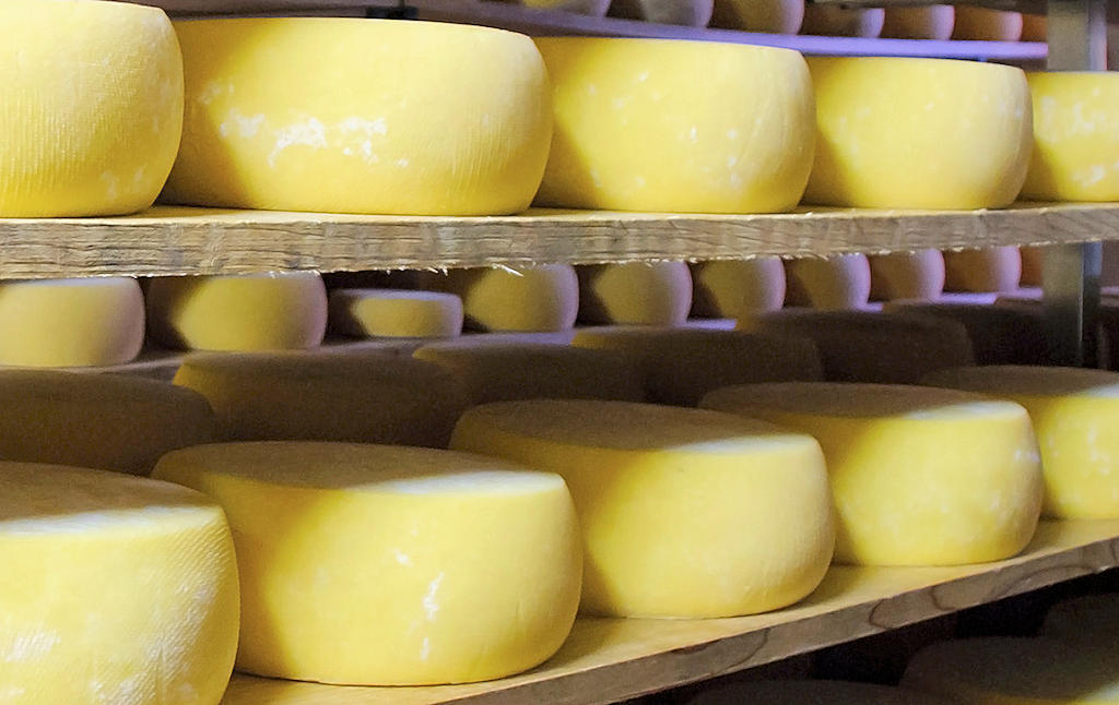 Queijo São Jorge: A Cheese Rooted in Tradition and Terroir