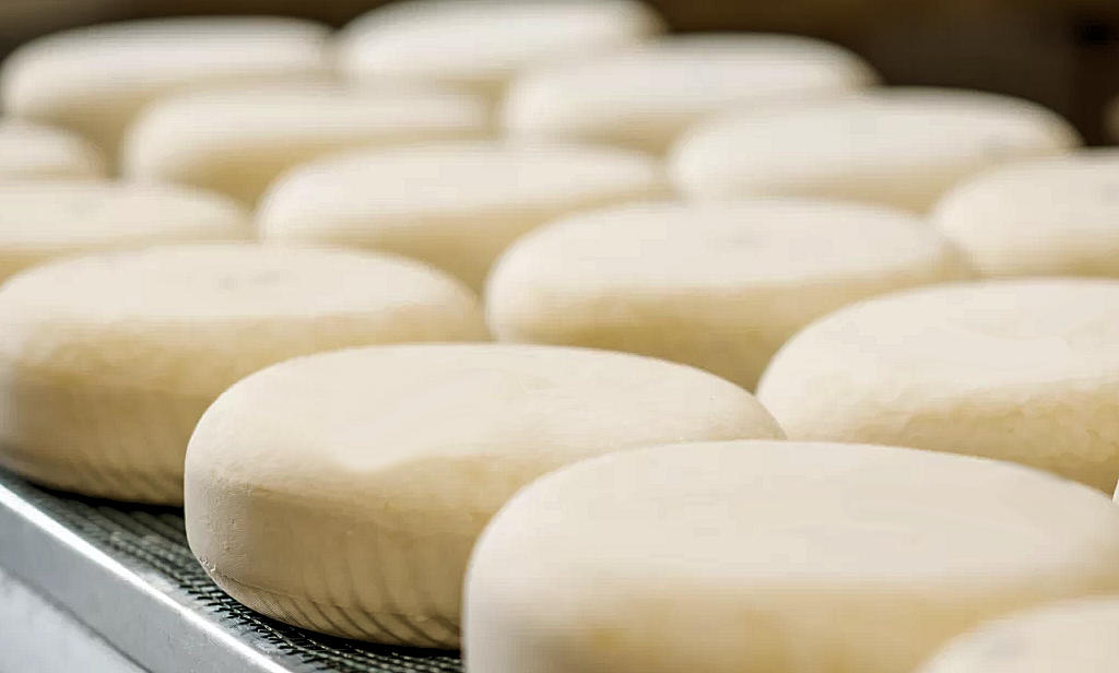 Queijo de Tomar: A traditional Portuguese cheese that reflects the rich cultural heritage and tantalizes with its flavors, all crafted from sheep's milk in Ribatejo, Portugal.