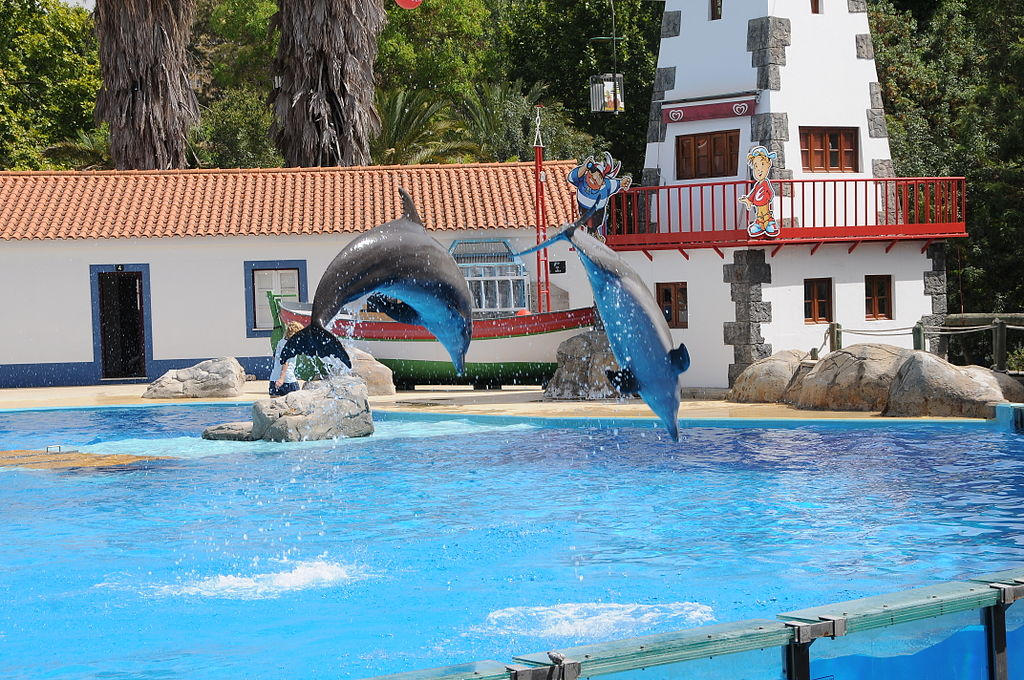 Uncover the captivating story of Lisbon Zoo, from its inception in 1884 to its mission of conservation, research, and education.