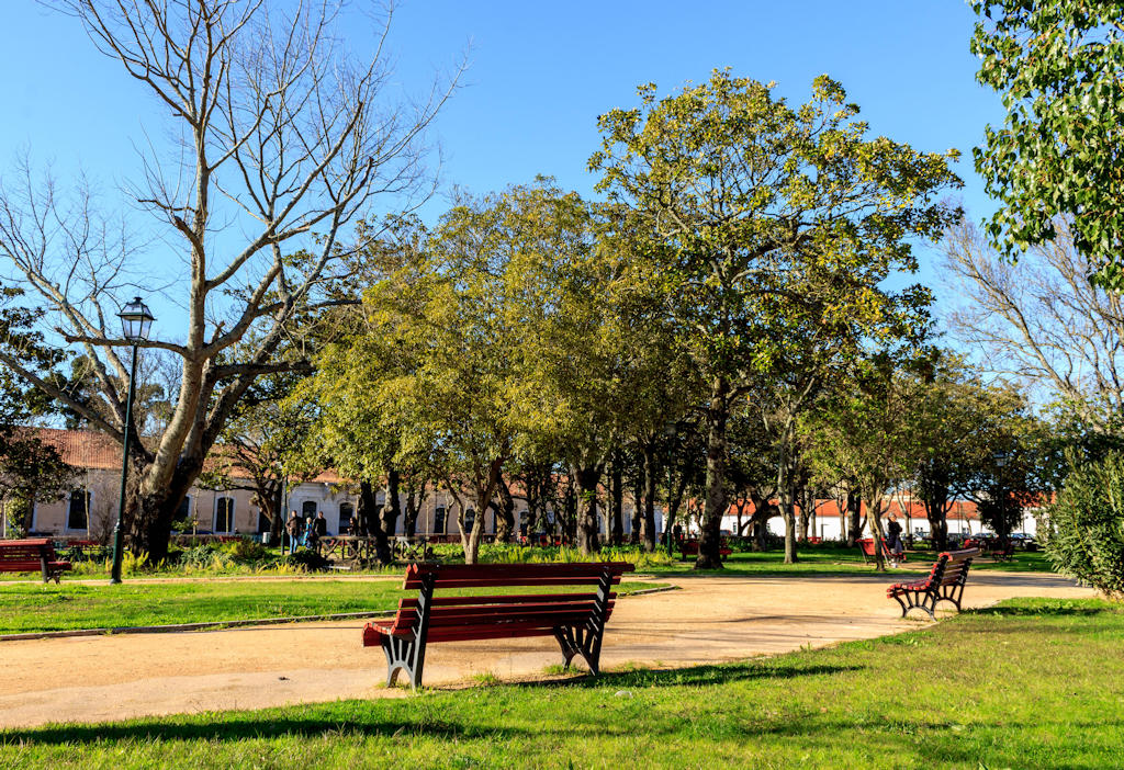 Escape to the serene beauty of Garden of Largo da Luz in Carnide, Lisbon, where history and nature intertwine, and festive celebrations come alive.