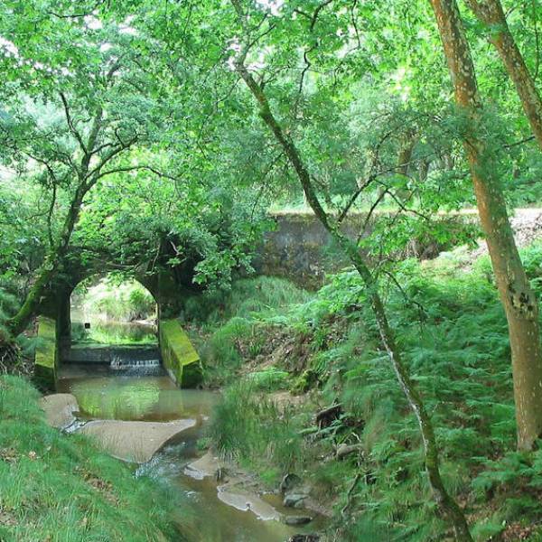 Tapada Nacional de Mafra