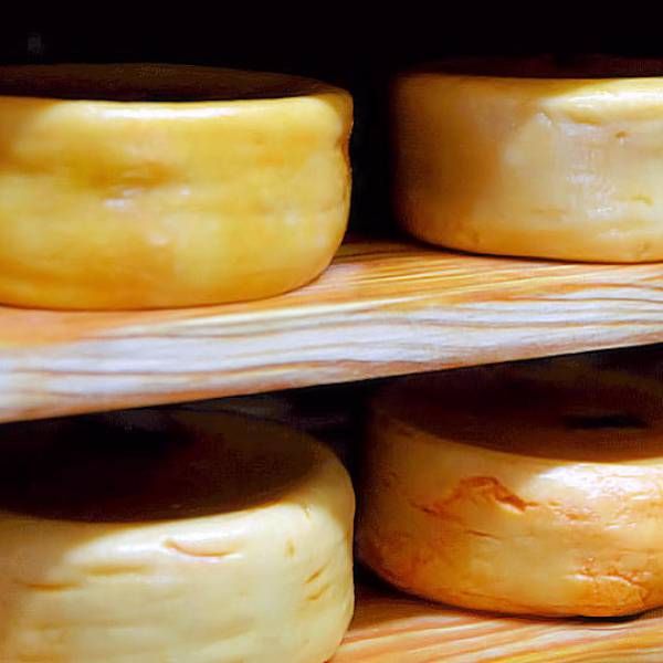 Queijo de Nisa: A Portuguese Sheep's Milk Cheese