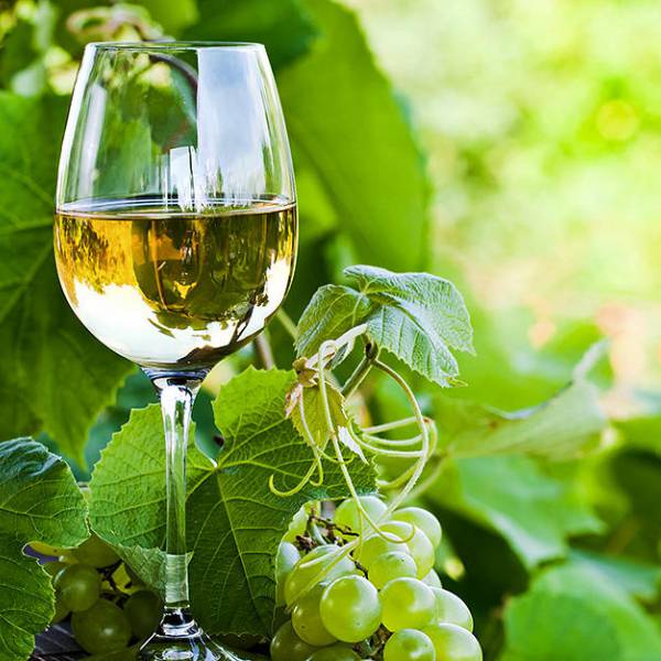 White Vinho Verde: A Wine that Celebrates Life and Joy